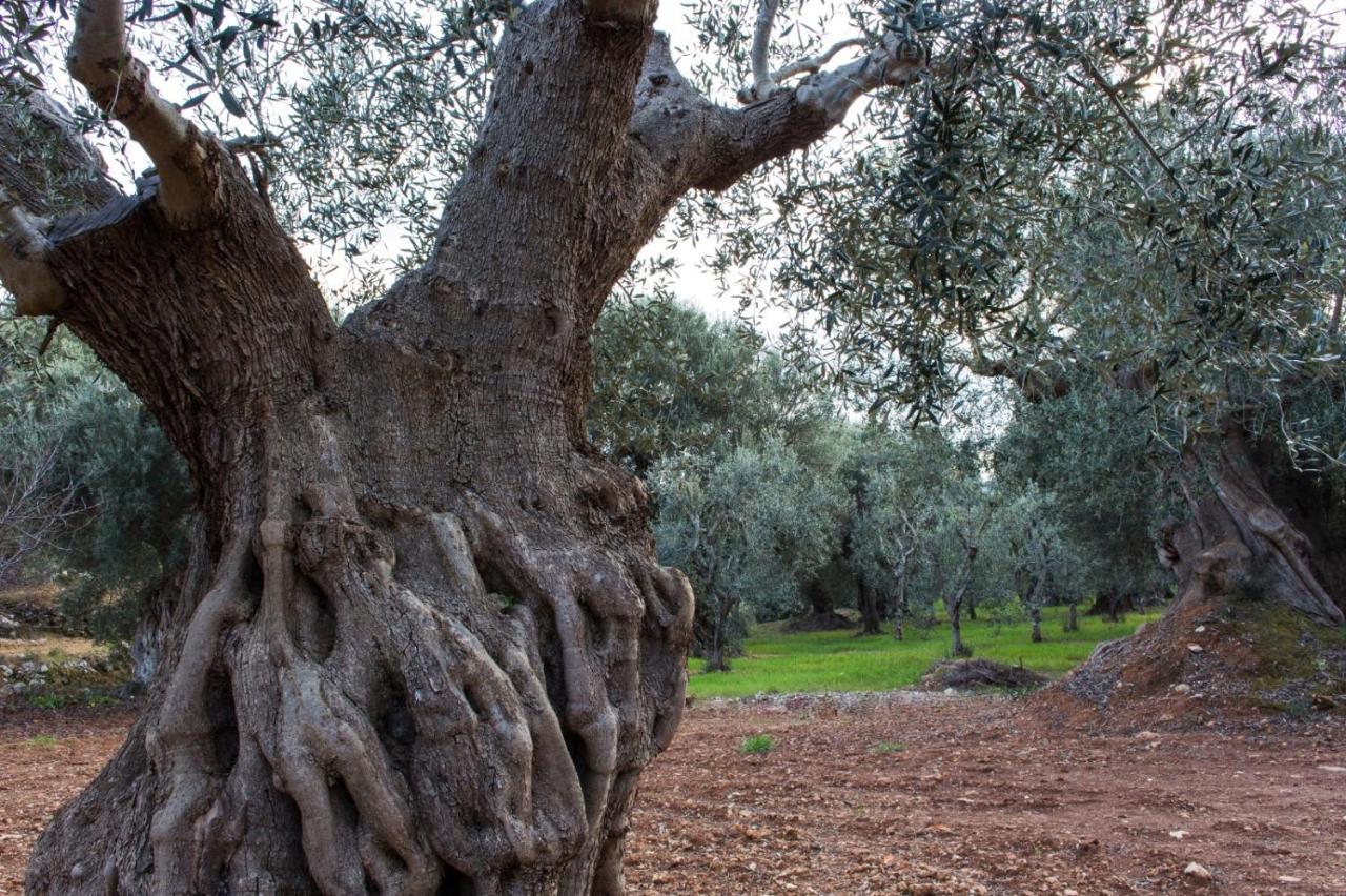 דירות מונופולי Paolottavia מראה חיצוני תמונה